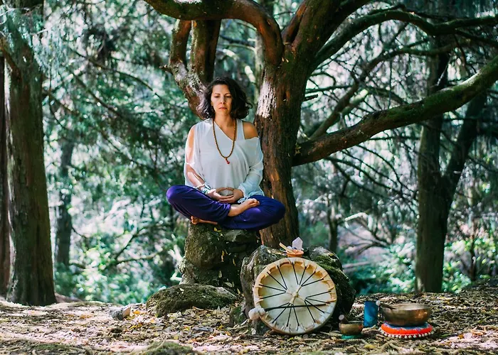 فندق Bela بورتو دا كروز